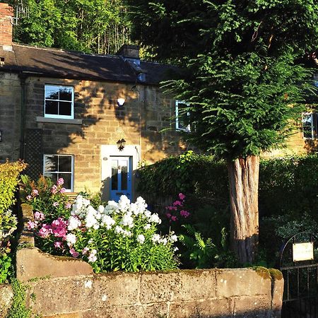 Rose Cottage ماتلوك المظهر الخارجي الصورة